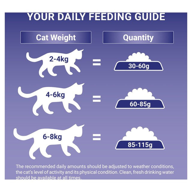 Purina One Salmon dry cat food, imported from the UK