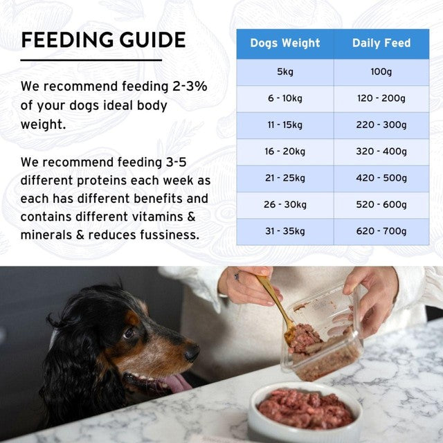Benyfit Natural Meat Feast raw dog food 1kg - British product