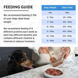 Benyfit Natural Meat Feast raw dog food 1kg - British product