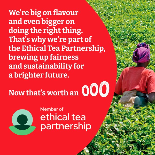 Typhoo black tea bags 400 bags (British brand)