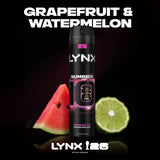 Lynx Number 10 antiperspirant deodorant aerosol - British product
