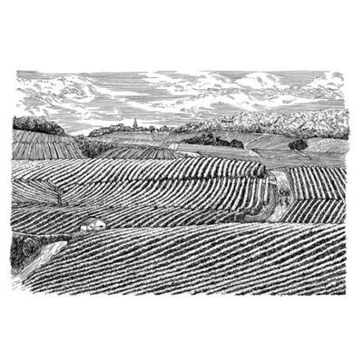 Lafite Rothschild Legende Rouge Vin Rouge Bordeaux 75cl