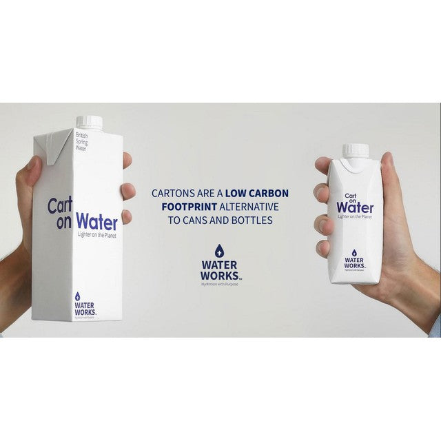 Carton Water alkaline spring water in paper carton 12 x 1L - British product