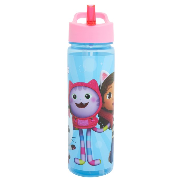 Polar Gear Gabby's Dollhouse water bottle 600ml, imported from the UK