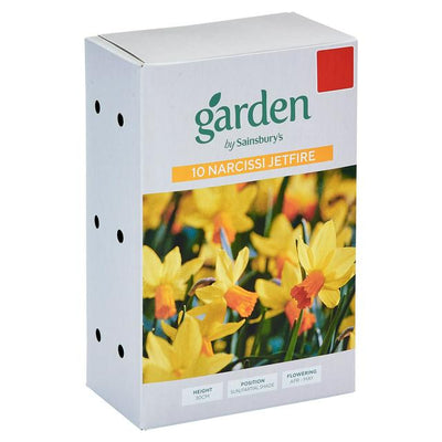 Sainsburys Sainsburys Garden Miniature Narcissi Jetfire x10- Acheter en ligne chez McGrocer