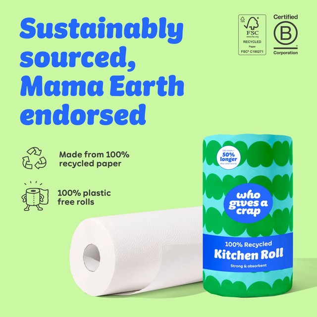Who Gives a Crap XL kitchen roll 150 sheets (British brand)