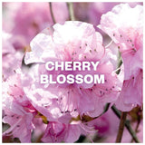 Airwick Cherry Blossom & Raspberry essential mist kit, UK version