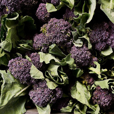M&S Natoora British Purple Sprouting Broccoli Fresh Vegetable 225g- Buy online at McGrocer