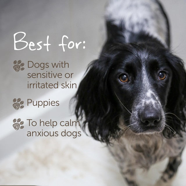Little Beast organic sensitive dog shampoo bar 100g, UK version