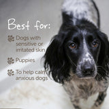Little Beast organic sensitive dog shampoo bar 100g, UK version