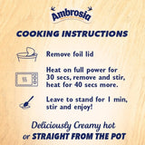 Ambrosia Cinnamon Porridge Pot 210g - British product