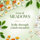 Dove Bridgerton Love & Meadows shower gel limited edition, UK version