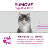 Lintbells YuMOVE PLUS dog digestive health supplement (British brand)