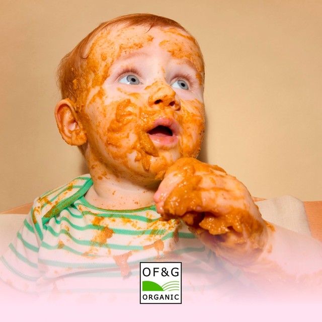 Little Freddie Organic Beef Lasagne with Cheese baby food pouch 130g, UK version