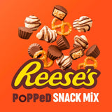 Reese's Snack Mix Chocolate Peanut Butter 113g, imported from the UK