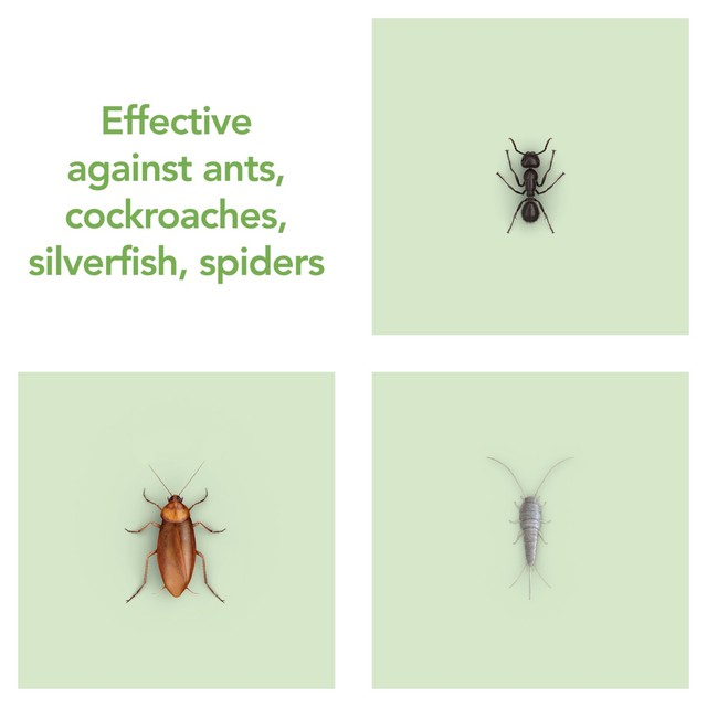 Raid Plant Based Insect Killer Spray, UK version