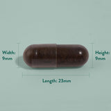 Holland & Barrett high strength bee propolis capsules 90 pack, UK version