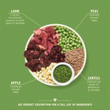 Lily's Kitchen Lamb Shepherd's Pie dry dog food 1kg, UK version