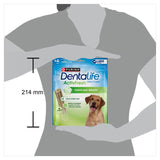 Dentalife large chicken dog dental chews - British product