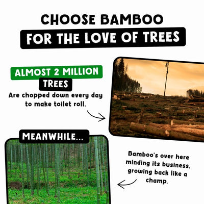 مناديل تنظيف الوجه الخيزران من Cheeky Panda غير المعطرة عبوة 25