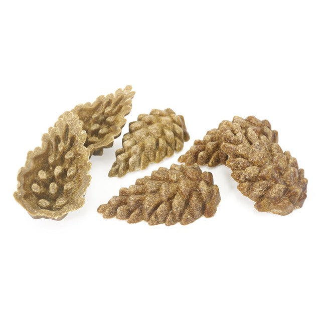 Rosewood Veggie Burst Pinecones 6 pack (British brand)