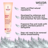 Weleda natural maternity nipple balm 25g (British brand)