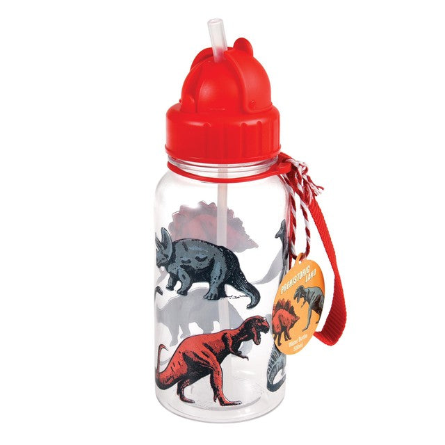 Rex London water bottle Prehistoric Land with straw 500ml, UK version