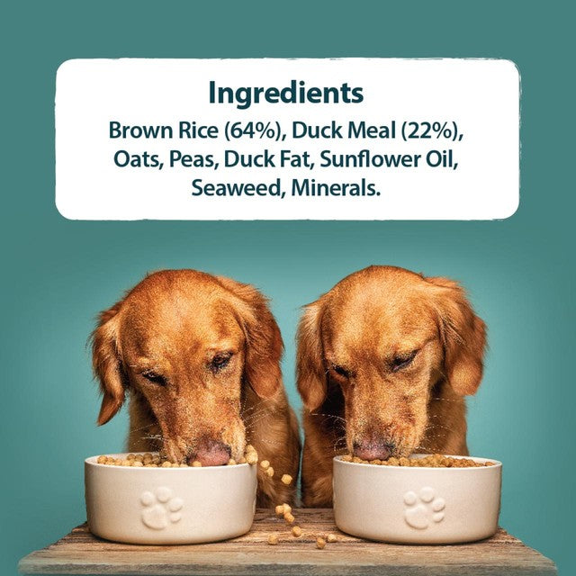 Burns sensitive duck and brown rice dog food 2kg - British product