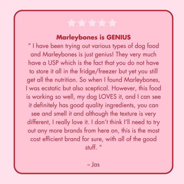 Marleybones wet dog food beef & superfoods 390g, imported from the UK