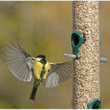 RSPB Sunflower Hearts Garden Bird 900g, imported from the UK