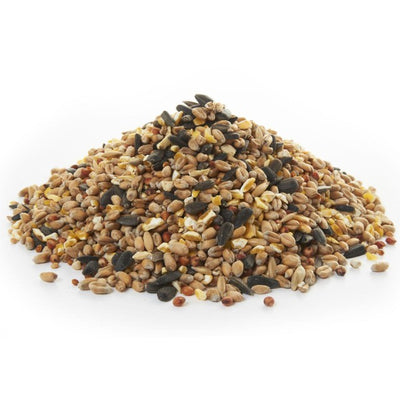 Peckish Natural Balance Saatenmischung Vogelfutter 1,7 kg