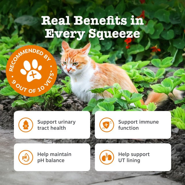 Zesty Paws urinary care cat paste, UK version