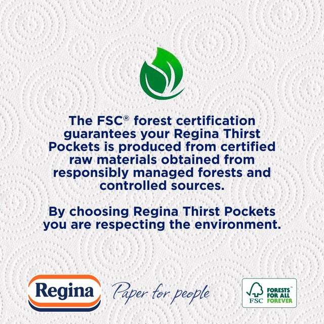 Regina Thirst Pockets kitchen roll 2 rolls, imported from the UK