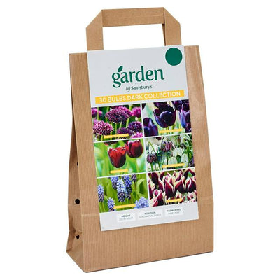 Sainsburys Assorted Dark Flower Bulbs Collection, 30 Pieces- اشترِ عبر الإنترنت من McGrocer
