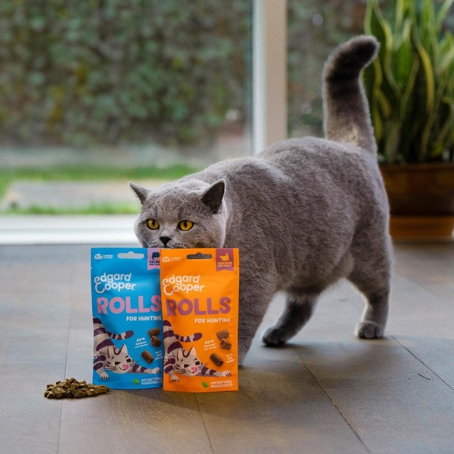 Edgard & Cooper chicken and turkey cat treats 45g - British product