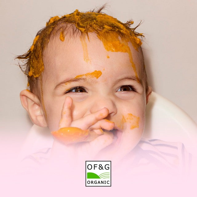 Little Freddie organic salmon baby food pouch 120g (British brand)
