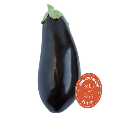 Aubergine bio Wholegood Légume produit frais