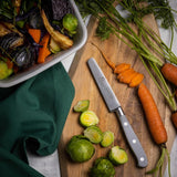 Viners Assure Elite 3.5 paring knife (British brand)