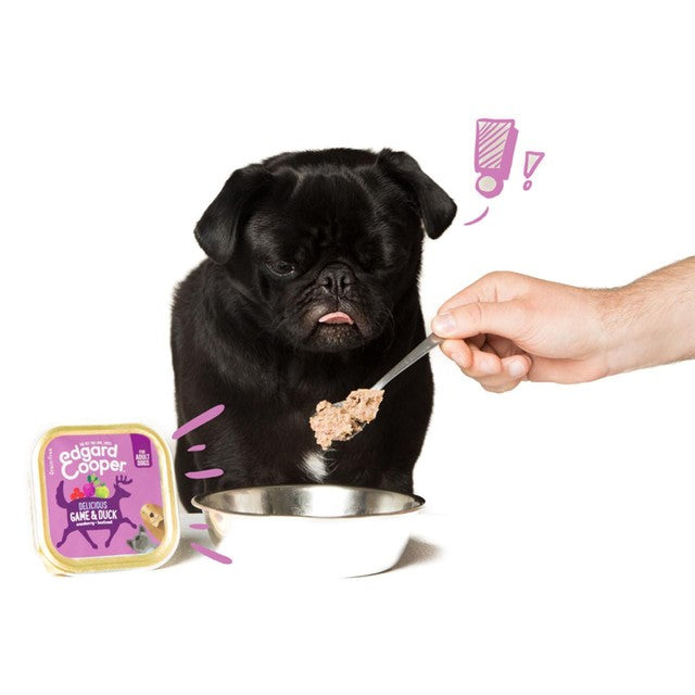Edgard & Cooper grain free wet dog food with game and duck (British brand)
