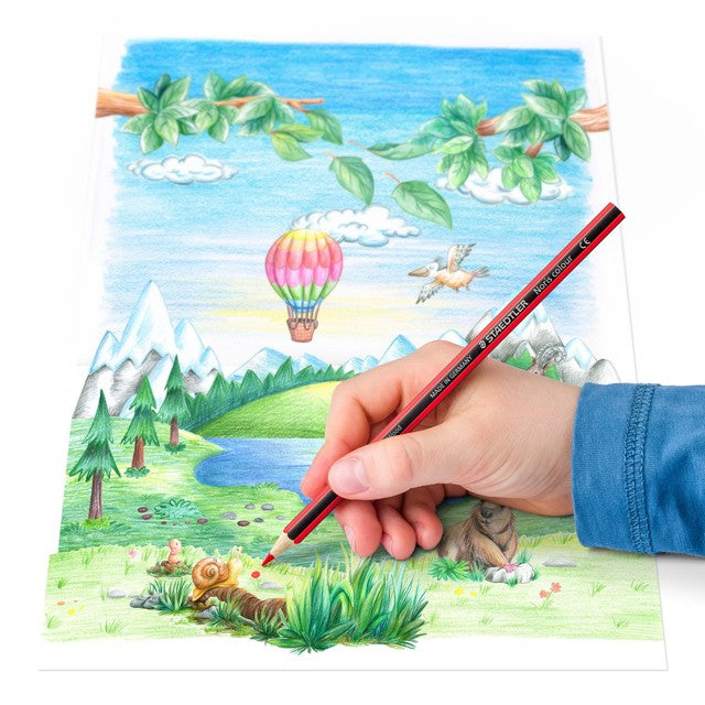 Staedtler Noris Colour colouring pencils 12 pack (British brand)