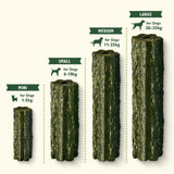 Lily's Kitchen Woofbrush dental chew for medium dogs 196g (British brand)