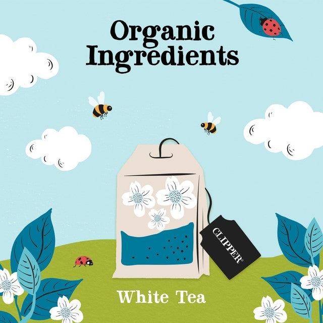 Clipper white tea bags 40 pack - British product
