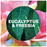 Airwick eucalyptus air freshener refill 228ml - British product
