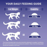 Purina One chicken dry cat food - British product
