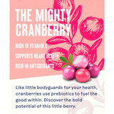 Ocean Spray pink cranberry juice drink 1L, imported from the UK