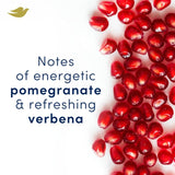 Dove Advanced Care Go Fresh Pomegranate Deodorant 200ml - British product