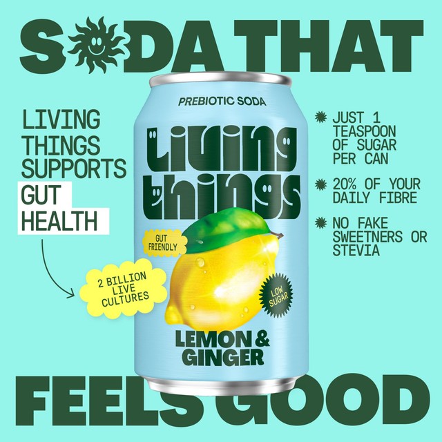 Living Things Lemon & Ginger Biotic Soda 4 x 330ml, UK version