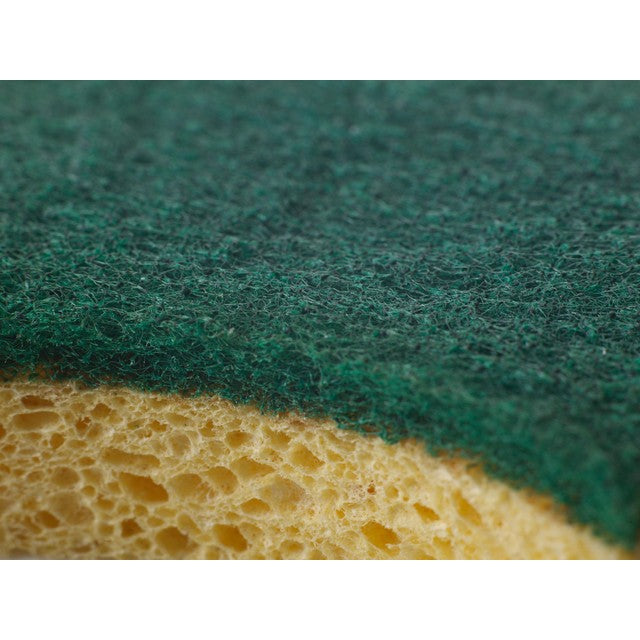 Spontex heavy duty sponge scourer (British brand)