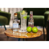 Haymans Small Gin 20cl, UK version