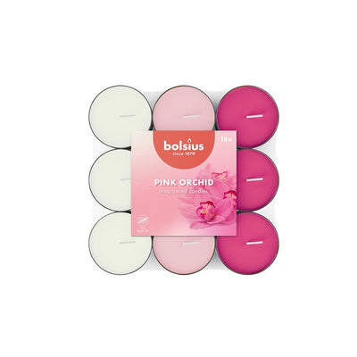 M&S Pink Orchid Scented Tea Lights with Natural Extracts and Flat Pack- Buy online at McGrocer